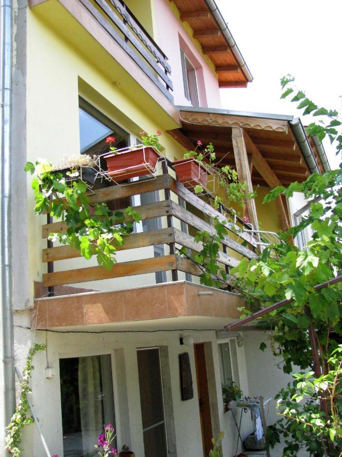 Guest House Familia Samovodene Exteriör bild